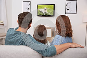 Family watching TV on sofa