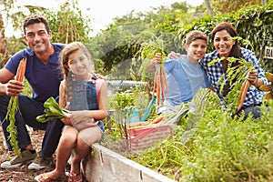 Family Working On Allotment Together