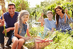 Family Working On Allotment Together