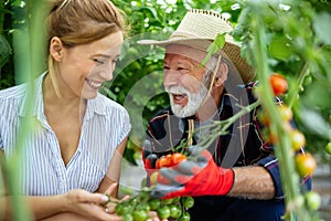 Family working together in greenhouse. Portrait of grandfather, child working in family garden.