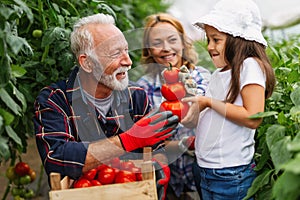 Family working together in greenhouse. Portrait of grandfather, child working in family garden.