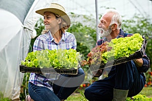 Family working together in greenhouse. Portrait of grandfather, child working in family garden.