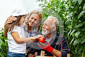 Family working together in greenhouse. Portrait of grandfather, child working in family garden.