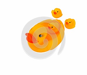 Family yellow rubber duck