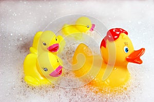 Family of yellow rubber ducks