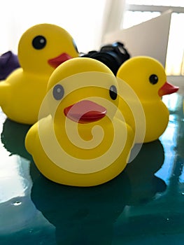 A family of yellow rubber ducks walk on epoxy water to fight for the environment. three ducks swim in resin instead of water