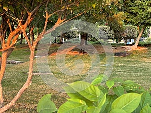 Famous Abu Dhabi city corniche park, UAE - beautiful modern park scene at sunset - stress free view