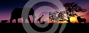 Famous african animals sunset silhouettes. Travel, wildlife and environment concept