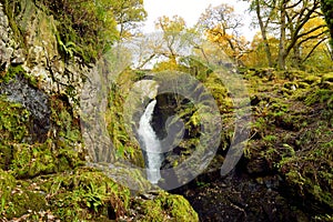 Famous Aira Force waterfall on Aira Beck stream, located in the Lake District, Cumbria, UK