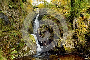 Famous Aira Force waterfall on Aira Beck stream, located in the Lake District, Cumbria, UK