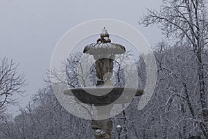 Famous Alcachofa fountain, in Retiro, Madrid, in a snowy day photo