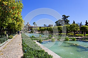 The famous Alcazar de los Reyes Cristianos with beautiful garden