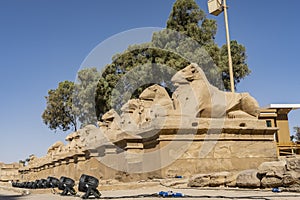 The famous alley of the sphinx-rams in the Karnak Temple of Luxor.