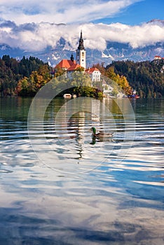 Famous alpine Bled lake Blejsko jezero in Slovenia, amazing autumn landscape, outdoor travel background