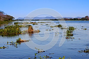 The famous Amazon River is the deepest in the world. The amazing nature of Brazil.