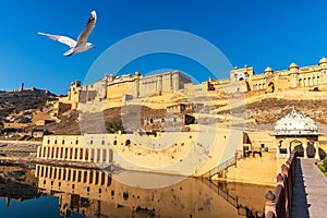 Famous Amber Fort in Jaipur, wonderful day view, India