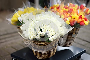 The famous Amsterdam flower market Bloemenmarkt. Multicolor tulips.