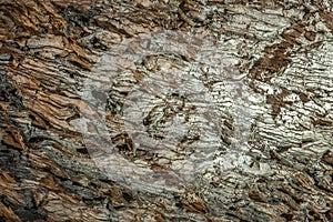 Famous Barbarossa cave in Thuringia