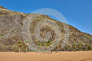 Famous beach Playa de las Teresitas,Tenerife, Canary islands, Spain photo