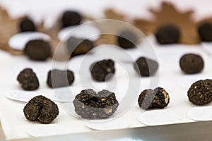 Famous black  truffles , Alba, Piedmont, Italy