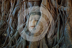 Famous Buddha Head with Banyan Tree Root at Wat Mahathat Temple in Ayuthaya Historical Park
