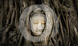 The famous Buddha head in tree root in Ayutthaya Thailamd