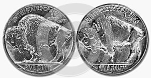 Famous Buffalo Nickle.