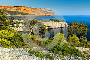 Famous Calanques of Port Pin in Cassis near Marseille,France