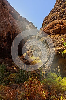 Famous canyon Masca at Tenerife - Canary