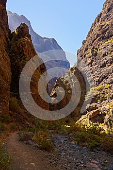 Famous canyon Masca at Tenerife island - Canary