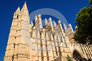 Famous cathedral La Seu in Palma de Mallorca, Spain