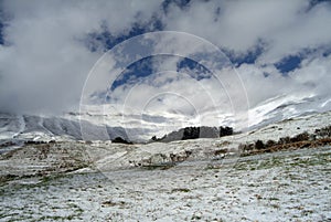 The famous Cedars of Lebanon Reserve on the slopes of Qurnat as Sawda in Lebanon