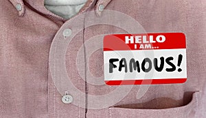 Famous Celebrity Hello Name Tag VIP Fame