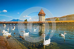 Famous Chapel Bridge in the historic city of Lucerne, Switzerland