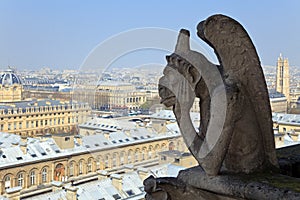 Famous chimera of Notre-Dame overlooking Paris.