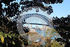 The Famous Coathanger the Sydney Harbour Bridge Blue Sky