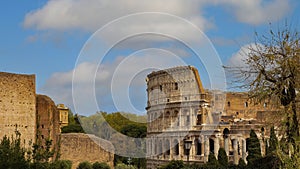 The famous of the Coliseum or Flavian Amphitheatre (Amphitheatrum Flavium or Colosseo) blue sky scene at Rome