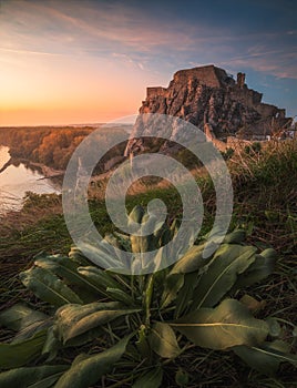 Ruin of a Castle on a Rock at Sunset