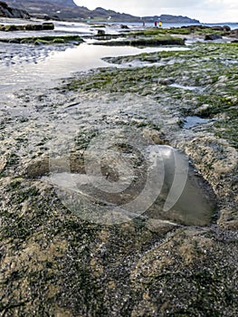 The famous Dinosaur footprints at An Corran beach by Staffin on the isle of Skye