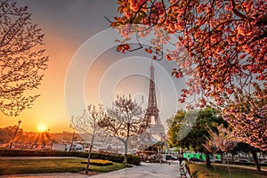 Eiffel Tower during spring time in Paris, France