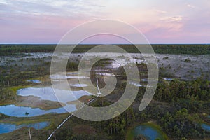 The famous Estonian Viru swamp at the dawn of the sun in summer, photo from a drone