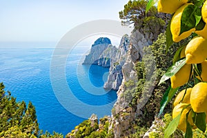 Famous Faraglioni Rocks, Capri Island, Italy. Beautiful paradise landscape with azure sea in sunny day with ripe yellow lemons in