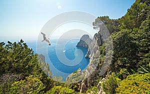 Famous Faraglioni rocks, Capri island, Italy