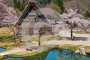 The famous farmhouses in Shirakawa-go village, Japan