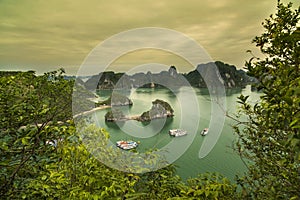 Famous fast boats , Island in Halong Bay, Vietnam