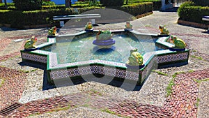 Famous frog fountain in Tarifa square