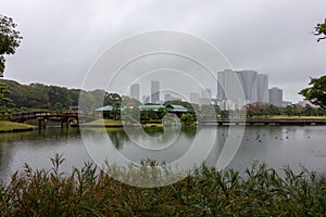 Famous gardens in Tokyo bay Japan