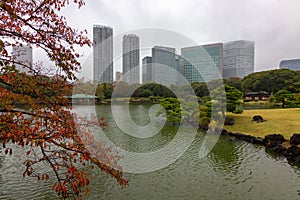 Famous gardens in Tokyo bay Japan