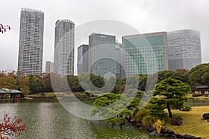 Famous gardens in Tokyo bay Japan