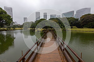 Famous gardens in Tokyo bay Japan